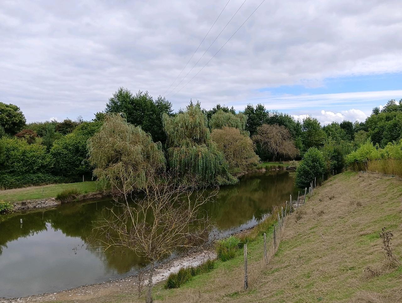 TERRAIN DE LOISIRS - ST PIERRE MONTLIMART - 1500m2