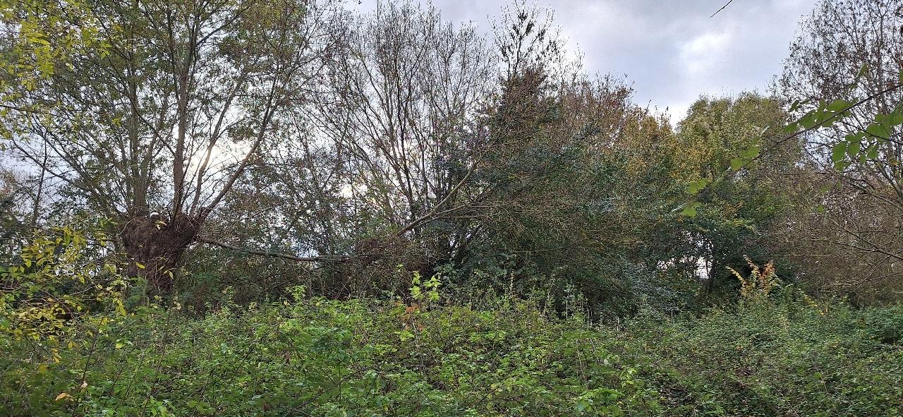 TERRAIN - ANCENIS - 0m2