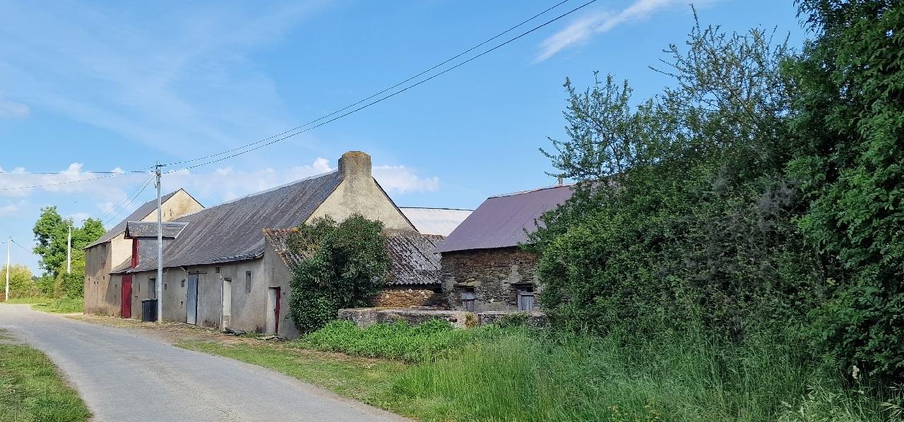 LONGERE - ANCENIS - 200m2