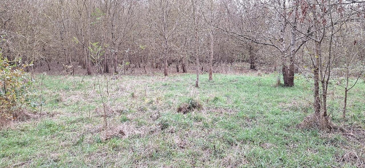 TERRAIN - ANCENIS - 0m2